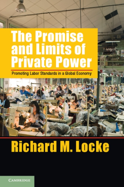 Book Cover for Promise and Limits of Private Power by Richard M. Locke