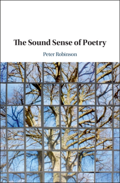 Book Cover for Sound Sense of Poetry by Peter Robinson