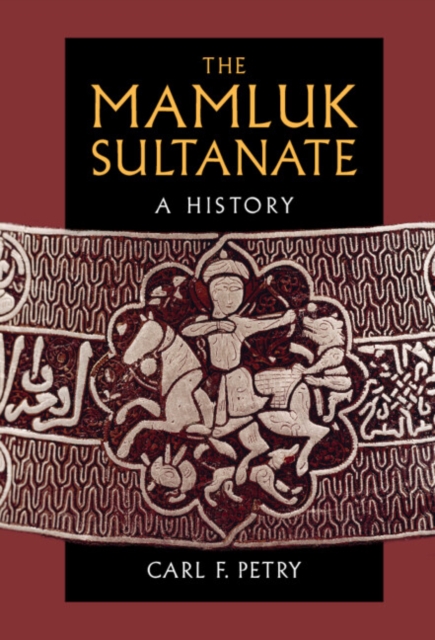 Book Cover for Mamluk Sultanate by Carl F. Petry