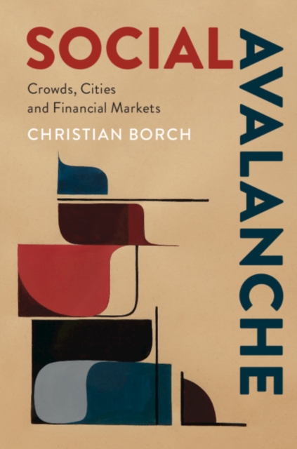 Book Cover for Social Avalanche by Christian Borch