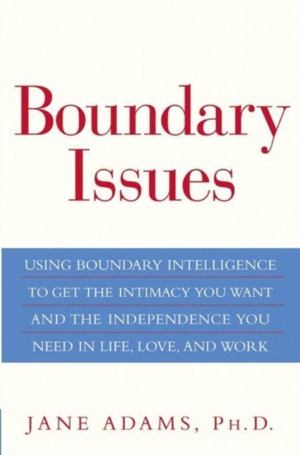 Book Cover for Boundary Issues by Jane Adams