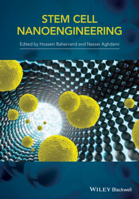 Book Cover for Stem-Cell Nanoengineering by H. Baharvand