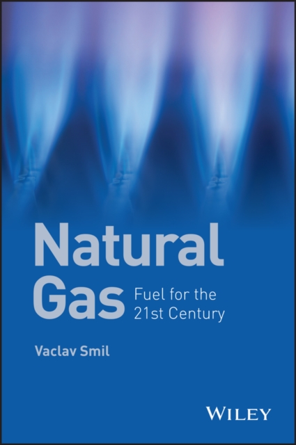 Book Cover for Natural Gas by Vaclav Smil