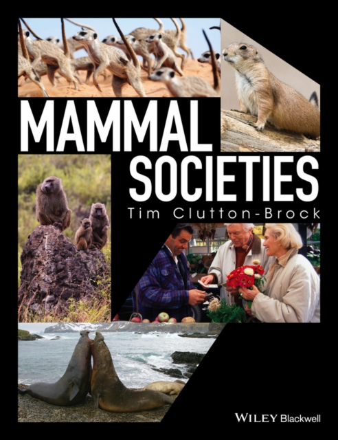 Book Cover for Mammal Societies by Tim Clutton-Brock