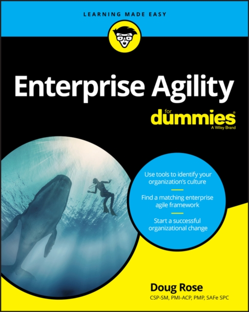 Book Cover for Enterprise Agility For Dummies by Rose, Doug