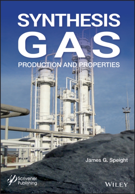 Book Cover for Synthesis Gas by James G. Speight