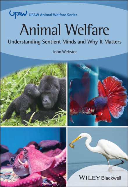 Book Cover for Animal Welfare by John Webster