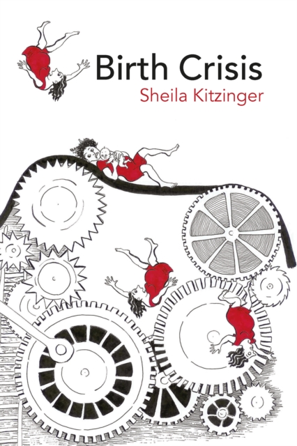 Book Cover for Birth Crisis by Sheila Kitzinger