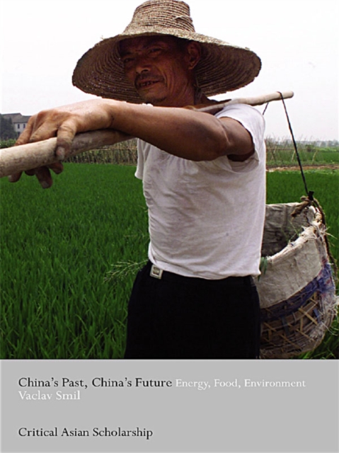 Book Cover for China's Past, China's Future by Smil, Vaclav