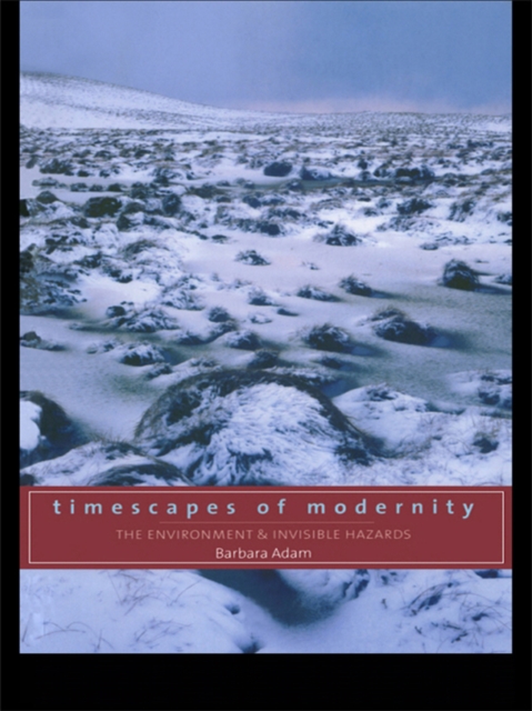 Book Cover for Timescapes of Modernity by Barbara Adam