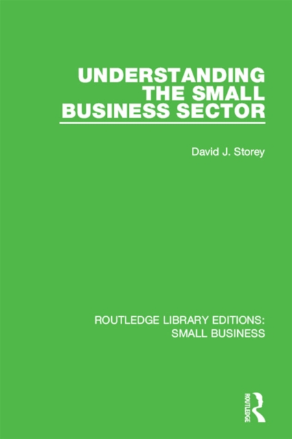 Book Cover for Understanding The Small Business Sector by Storey, David J.