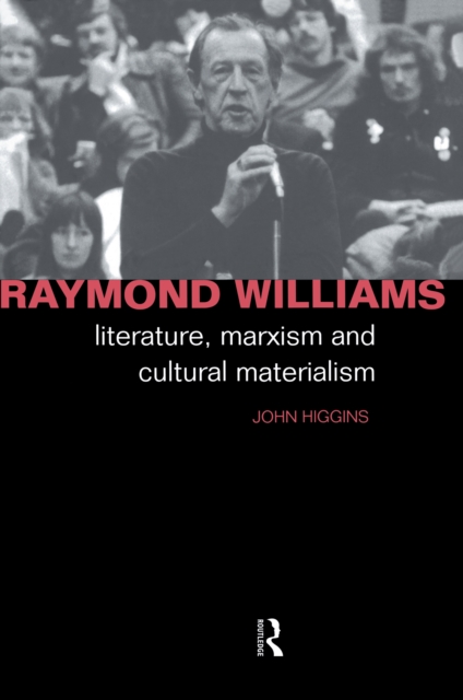 Book Cover for Raymond Williams by John Higgins