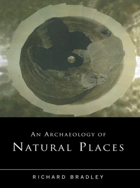 Book Cover for Archaeology of Natural Places by Richard Bradley