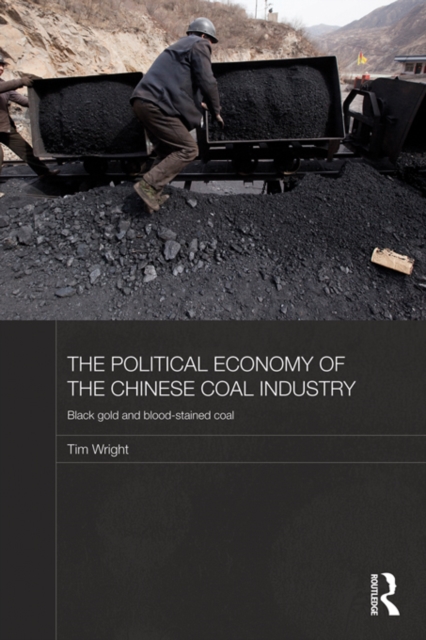 Book Cover for Political Economy of the Chinese Coal Industry by Tim Wright