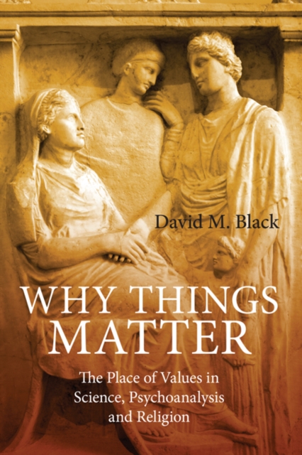 Book Cover for Why Things Matter by Black, David M.