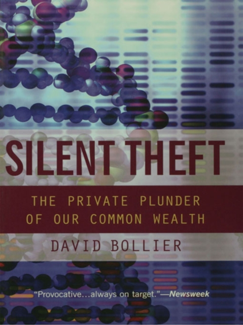 Book Cover for Silent Theft by David Bollier