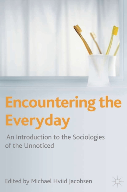 Book Cover for Encountering the Everyday by Michael Hviid Jacobsen