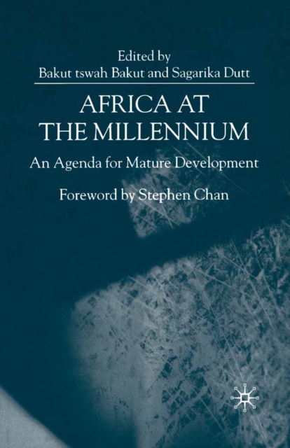 Book Cover for Africa at the Millennium by NA NA