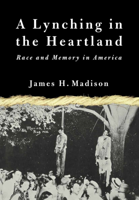 Book Cover for Lynching in the Heartland by NA NA