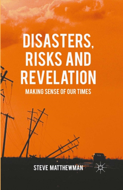 Book Cover for Disasters, Risks and Revelation by Steve Matthewman