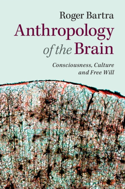 Book Cover for Anthropology of the Brain by Roger Bartra