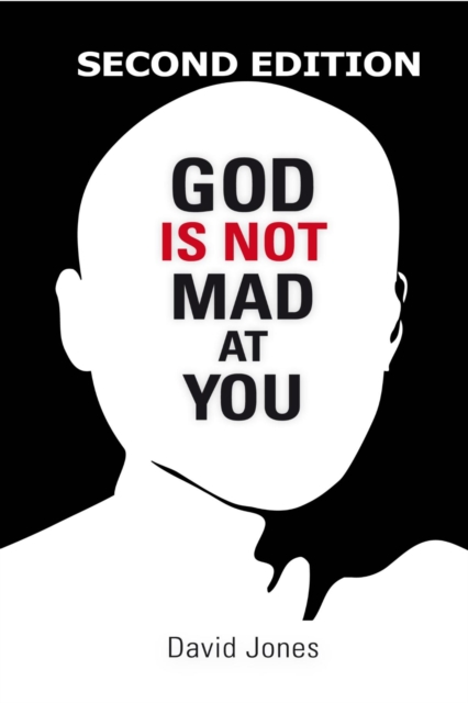 Book Cover for God Is Not Mad At You by David  Jones