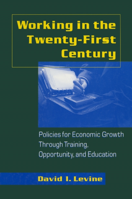 Book Cover for Working in the 21st Century by David I. Levine