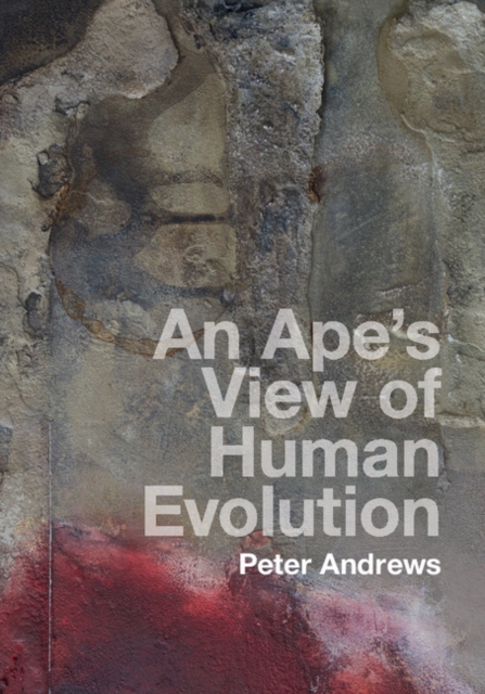 Book Cover for Ape's View of Human Evolution by Peter Andrews