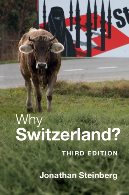 Book Cover for Why Switzerland? by Jonathan Steinberg