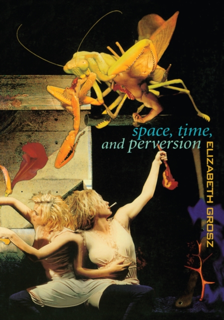 Book Cover for Space, Time and Perversion by Elizabeth Grosz