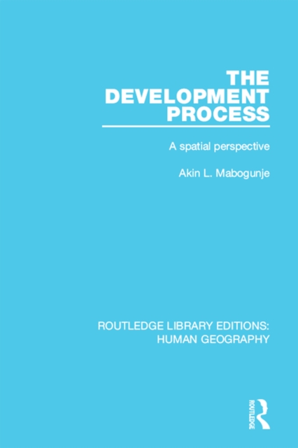 Book Cover for Development Process by Akin Mabogunje