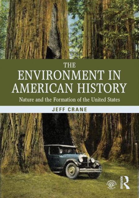 Book Cover for Environment in American History by Jeff Crane