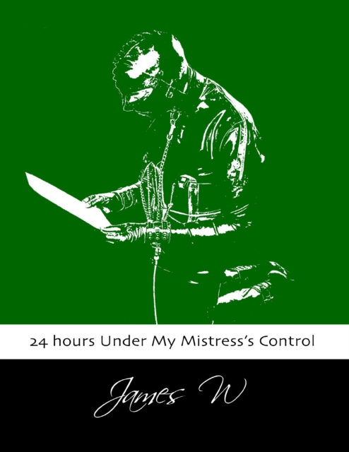 Book Cover for 24 hours Under My Mistress's Control by W James W