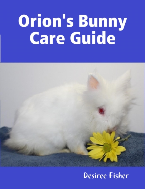 Orion's Bunny Care Guide