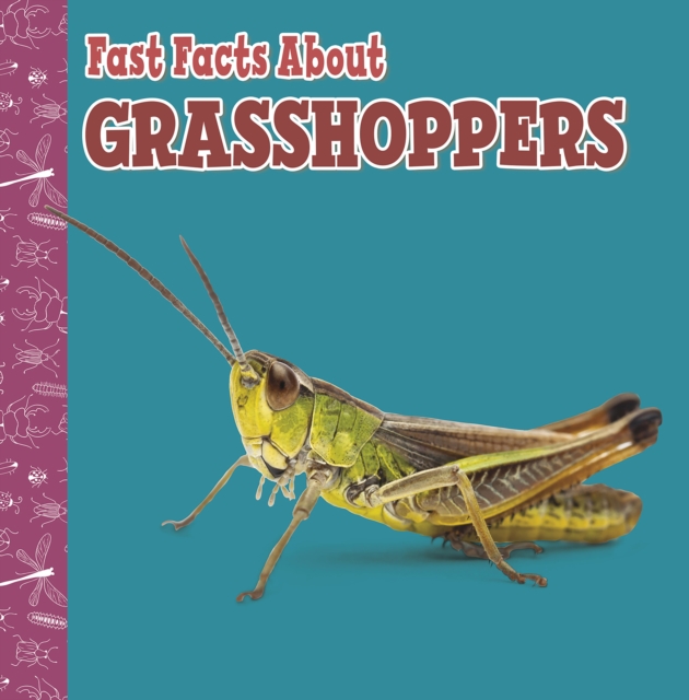 Book Cover for Fast Facts About Grasshoppers by Garstecki-Derkovitz, Julia