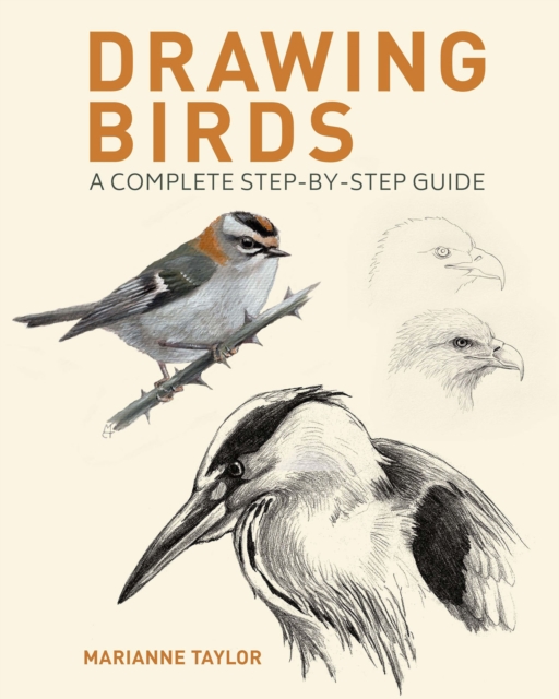 Book Cover for Drawing Birds by Marianne Taylor