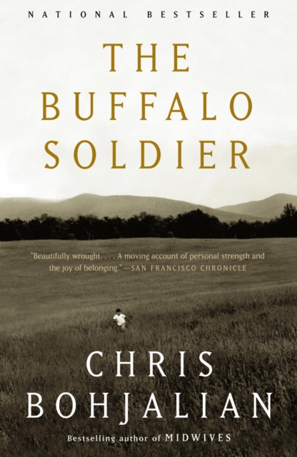 Book Cover for Buffalo Soldier by Chris Bohjalian