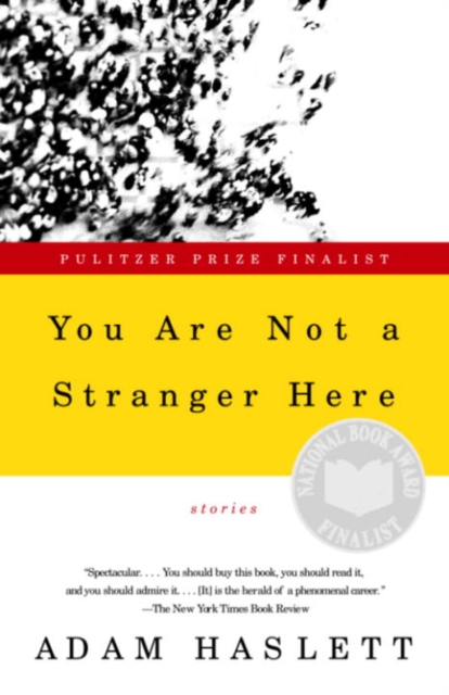 Book Cover for You Are Not a Stranger Here by Haslett, Adam