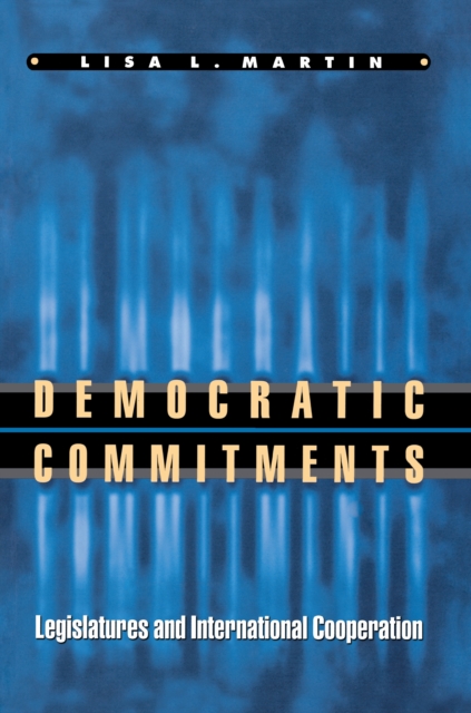 Book Cover for Democratic Commitments by Lisa L. Martin