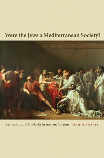 Book Cover for Were the Jews a Mediterranean Society? by Seth Schwartz