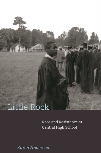 Book Cover for Little Rock by Karen Anderson