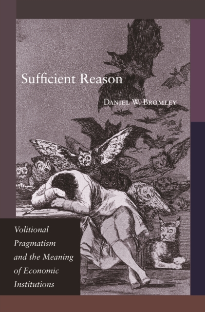 Book Cover for Sufficient Reason by Daniel W. Bromley