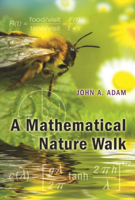 Book Cover for Mathematical Nature Walk by John A. Adam