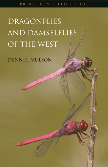 Book Cover for Dragonflies and Damselflies of the West by Dennis Paulson