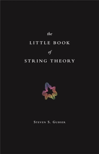 Book Cover for Little Book of String Theory by Steven S. Gubser