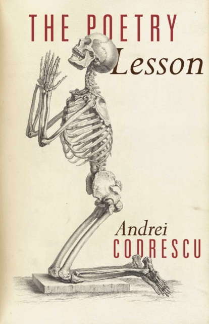 Book Cover for Poetry Lesson by Andrei Codrescu