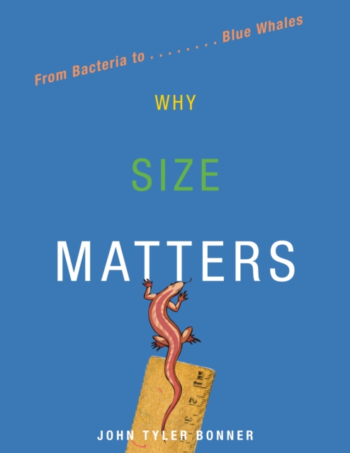 Book Cover for Why Size Matters by Bonner, John Tyler