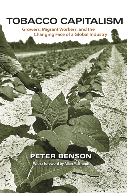 Book Cover for Tobacco Capitalism by Peter Benson