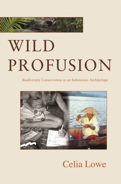 Book Cover for Wild Profusion by Celia Lowe