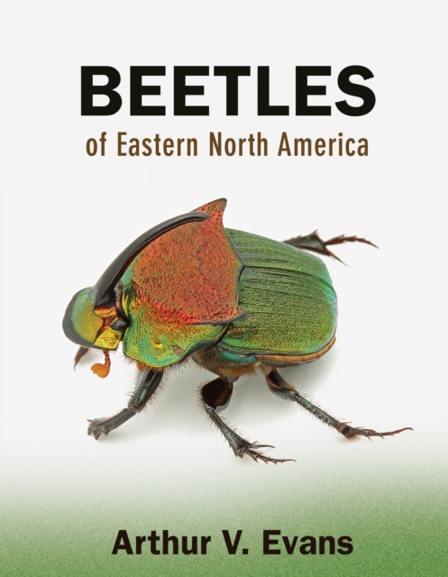 Book Cover for Beetles of Eastern North America by Evans, Arthur V.